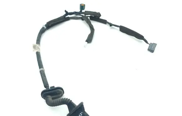 Rear door wiring loom