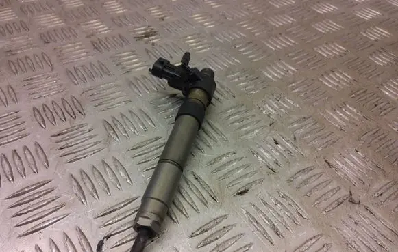 Land Rover Evoque I Fuel injector 9687454480