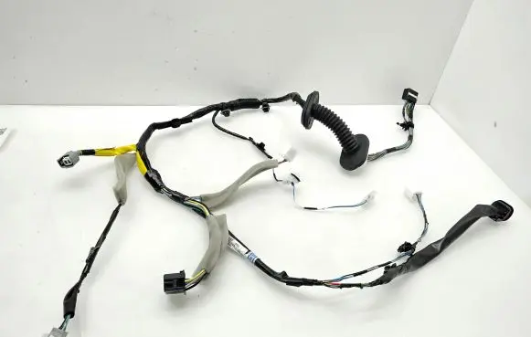 Front door wiring loom