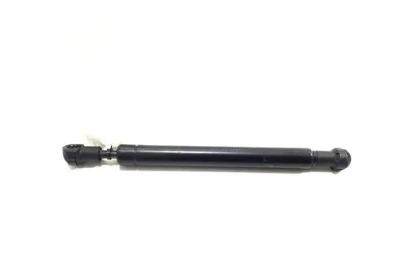 Tailgate strut
