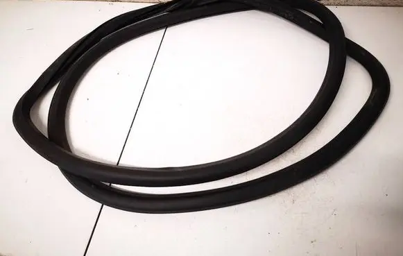 Volkswagen PASSAT B6 Rubber seal rear door