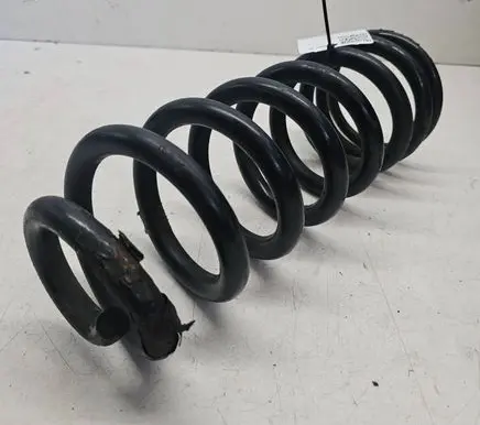 Rear coil spring
