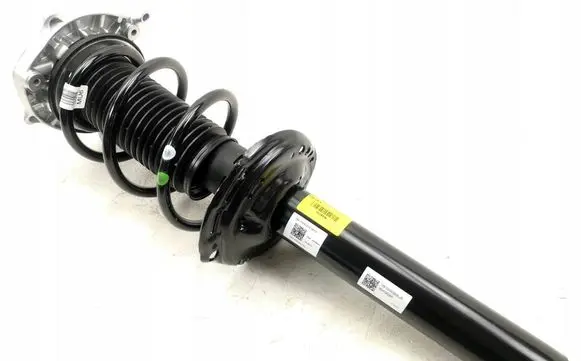 Volkswagen ID.4 Front shock absorber/damper 1EA413023AR