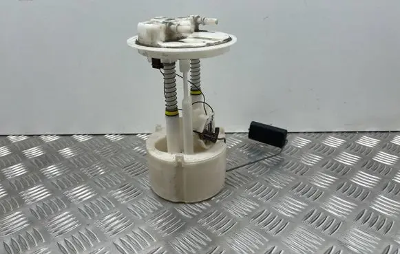 Nissan Juke I F15 In-tank fuel pump 170409U21B