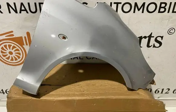 Peugeot 1007 Fender 