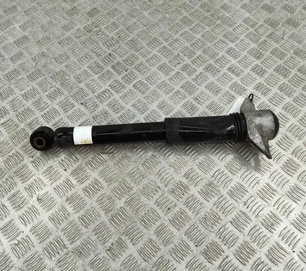 Lexus UX Rear shock absorber/damper 4853079305