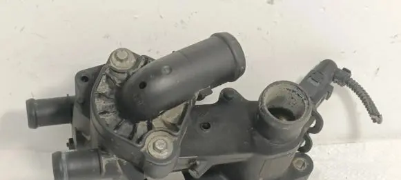Thermostat/thermostat housing