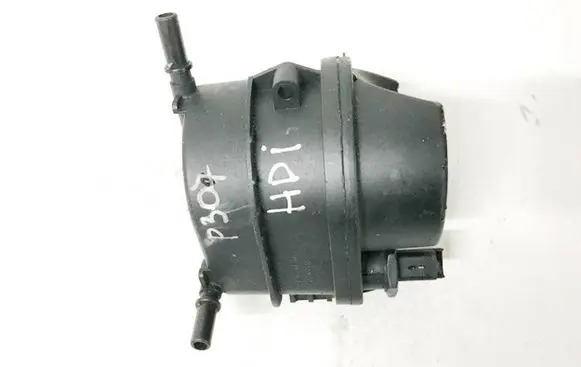 Peugeot 307 Fuel filter 70365555