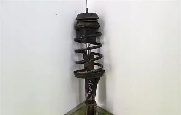 Opel Astra G Front shock absorber with coil spring 22195353