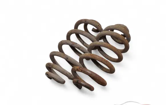 Rear coil spring