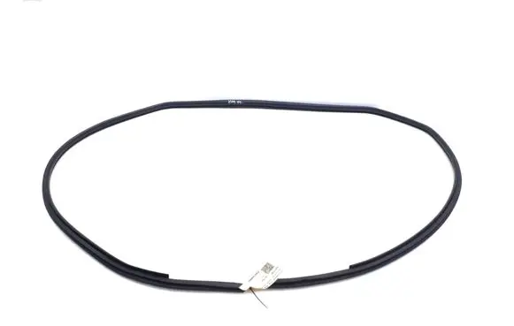 Toyota Prius Prime Rear door rubber seal (on body) 6233147050