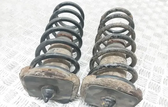 Rear coil spring