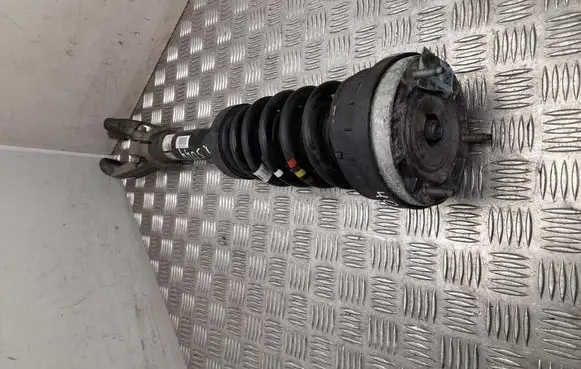 Jaguar F-Pace Front shock absorber with coil spring HK8345FB