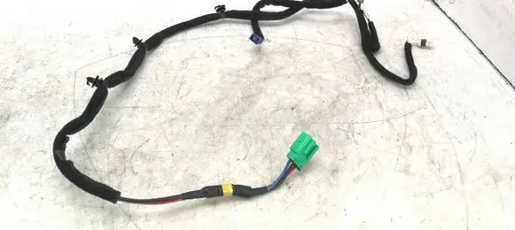 KIA Sportage Tailgate/trunk wiring harness 96220F1700