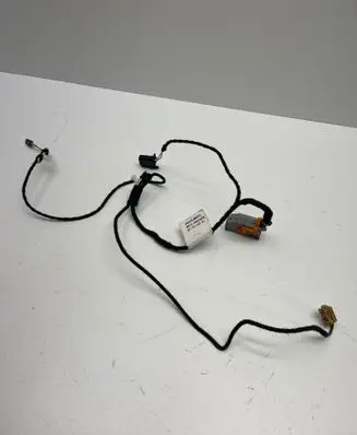 Front door wiring loom