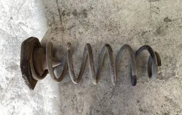 Renault Megane III Rear coil spring 552400003R