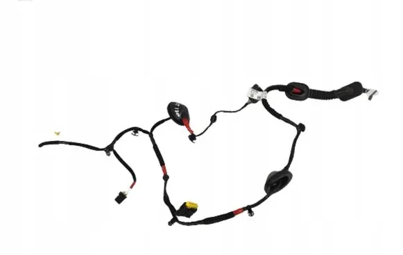 Hyundai i30 Rear door wiring loom 91650G4060