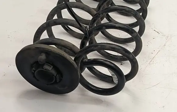 Rear coil spring