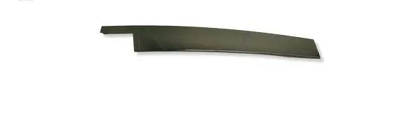 Volvo S80 Front door glass trim molding 30649544