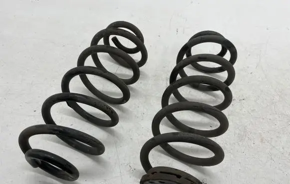 Rear coil spring