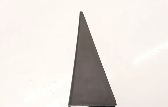Opel Antara Rear door glass trim molding 96630815