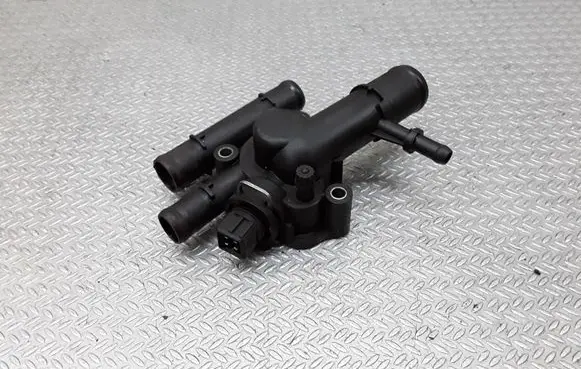 Thermostat/thermostat housing
