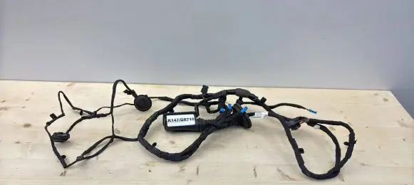 BMW 1 F40 Rear door wiring loom 8727944