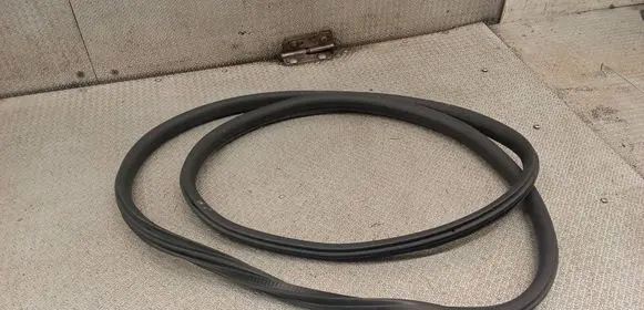 Citroen C3 Front door rubber seal 9813059580