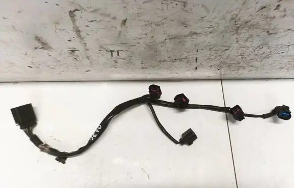 Other wiring loom