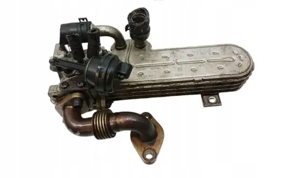 Seat Toledo III (5P) EGR valve cooler