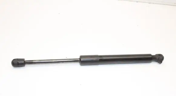 Tesla Model 3 Tailgate/trunk strut/damper 109156000B
