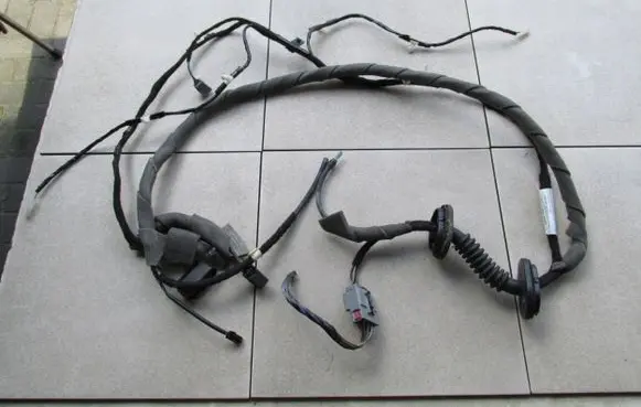 Ford Ecosport Tailgate trim CN1517K400ED