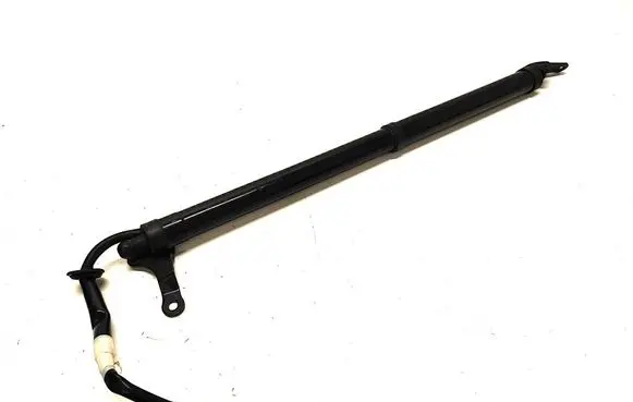 Tailgate strut