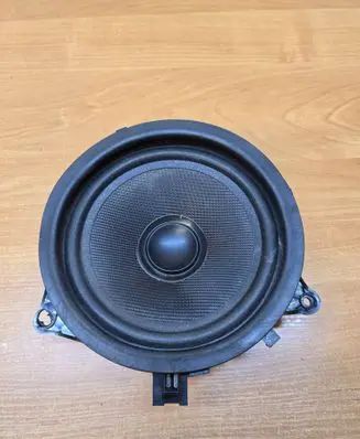 Rear door speaker