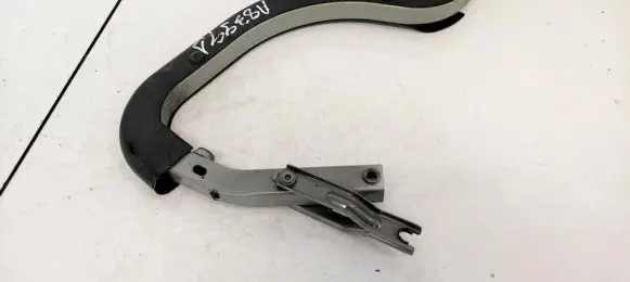 Tailgate/trunk/boot hinge