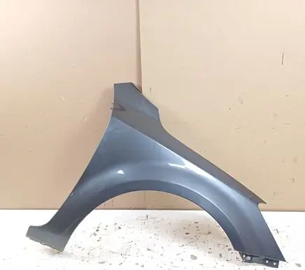 Fender
