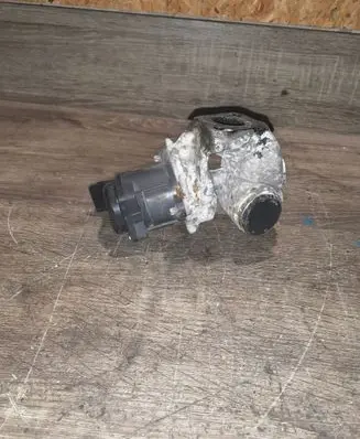 Citroen Xsara Picasso EGR valve 9672880080 V29006980