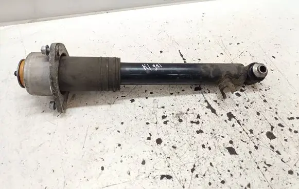 BMW X6 E71 Rear shock absorber/damper 6783017 22246857 14941510