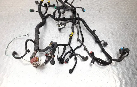 Engine installation wiring loom