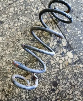 Rear coil spring