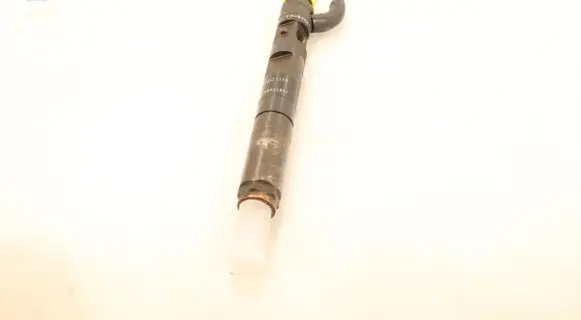 Renault Clio III Fuel injector EJBR03101D