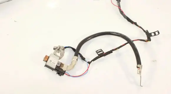 Negative earth cable (battery)