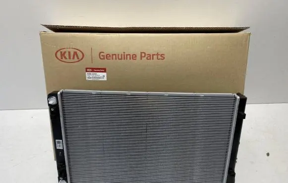 Hyundai Ioniq Coolant radiator 25308G2000