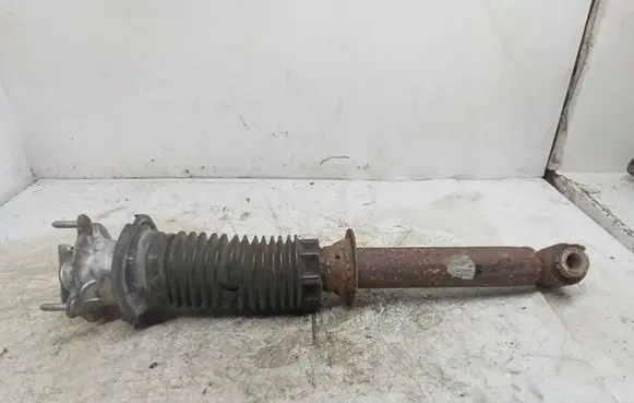 Peugeot 407 Front shock absorber with coil spring