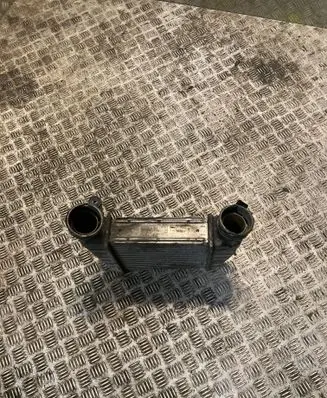 Volkswagen Phaeton Intercooler radiator 3D0145788