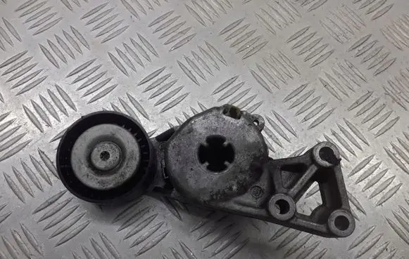 Seat Leon (1P) Alternator belt tensioner pulley 06A903315F
