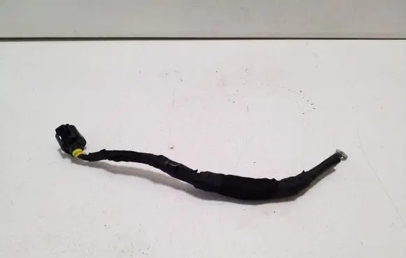 Other wiring loom