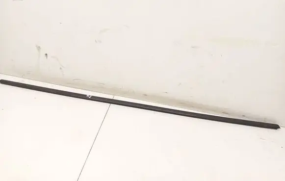 BMW X6 E71 Rear door glass trim molding 