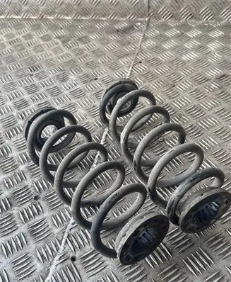 Rear coil spring