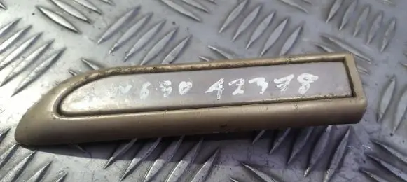Fender trim (molding)